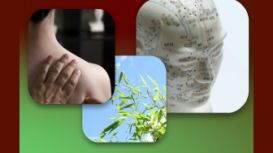 Nadia Sempels Acupuncture Nadia Sempels Acupuncture