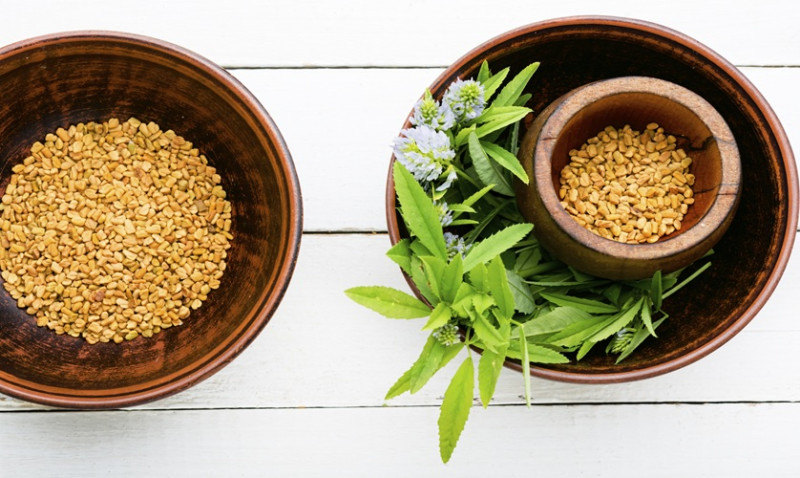 Indian vs German Homeopathic Medicines: What’s the Difference?