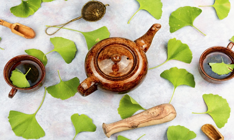 Homeopathy - The Mystery of Healing: Exploring the Healing Art Through a New Lens