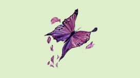 Peaceful Butterfly Holistic Therapies