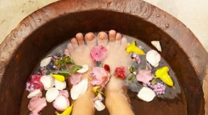 Reflexology 0 Reflexology