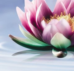 Virtual Gastric Band Hypnotherapy 0 Virtual Gastric Band Hypnotherapy