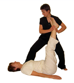 Holistic Therapy 0 Holistic Therapy
