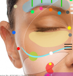 Facial Reflexology