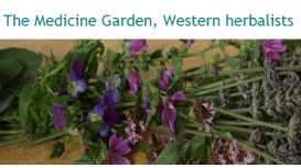 The Medicine Garden