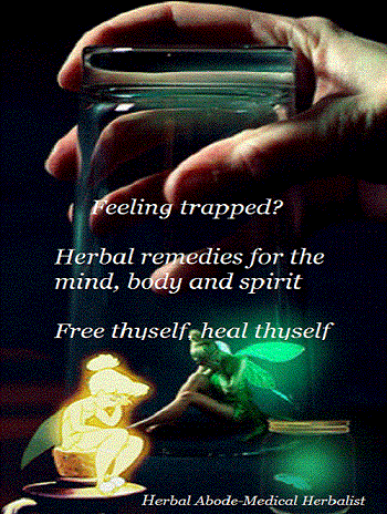 Medical Herbalist Special offers